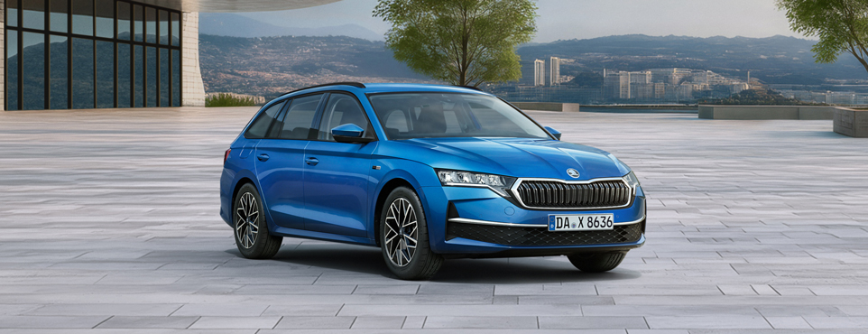 Homepagepaket_Content_Octavia_Combi