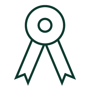 Icon Vorteil